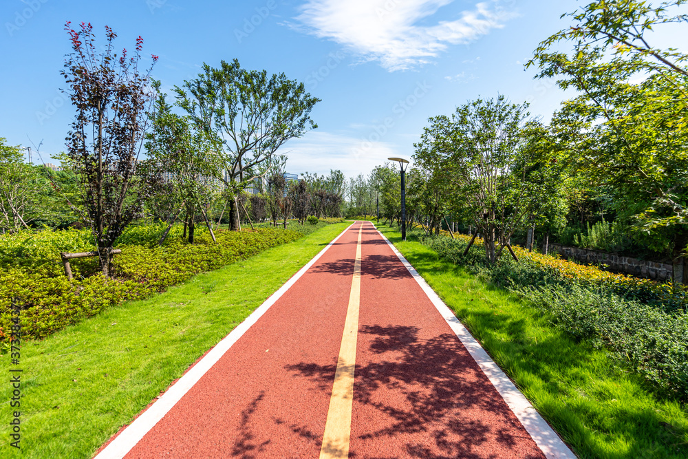 公园道路