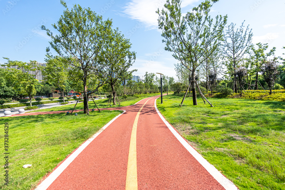 公园道路