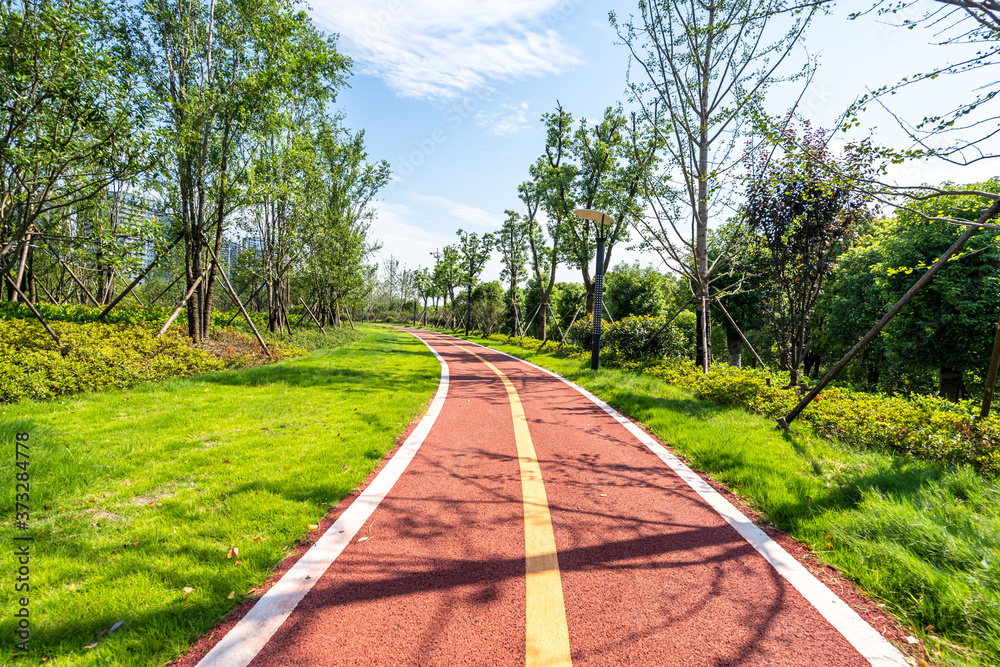 公园道路