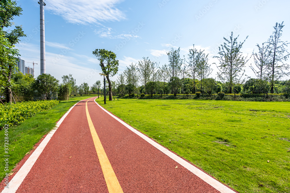 road in park