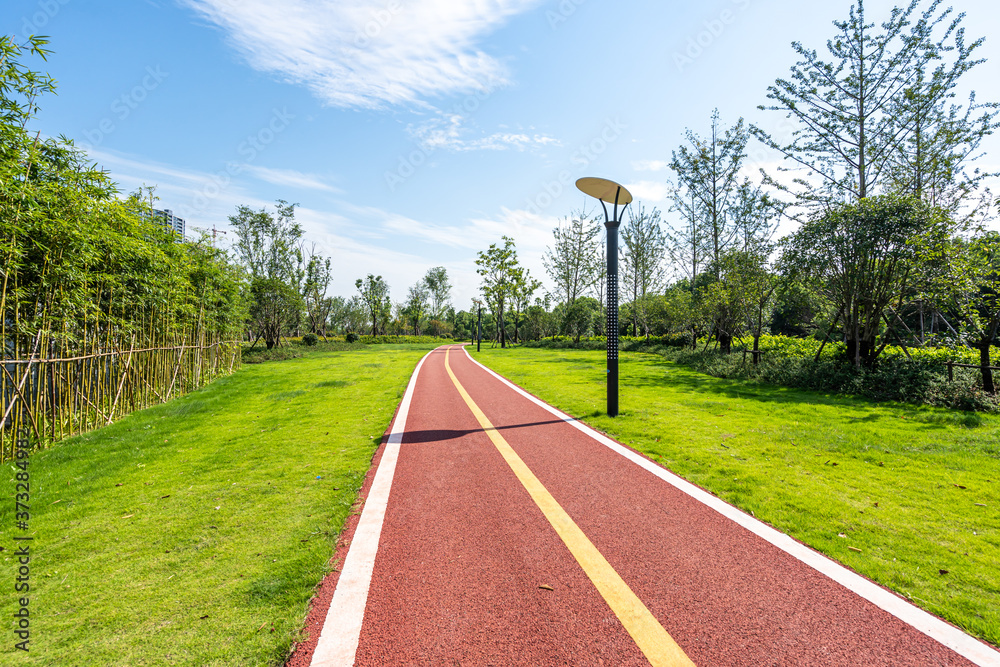 road in park