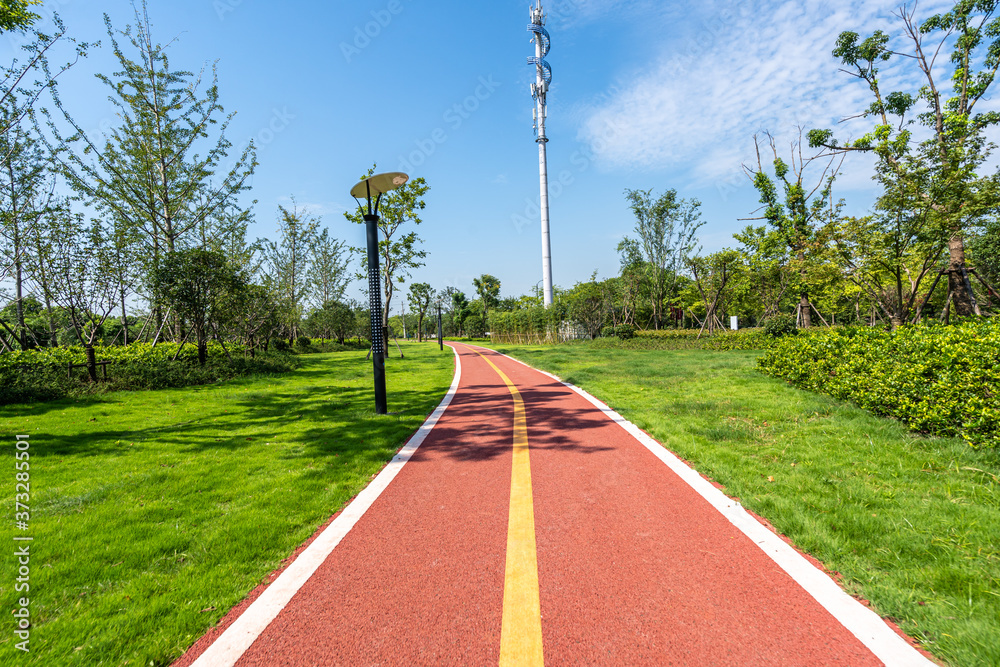 road in park