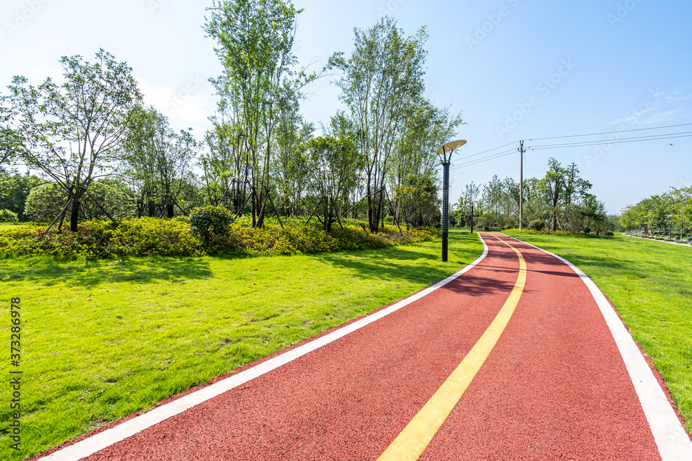 road in park