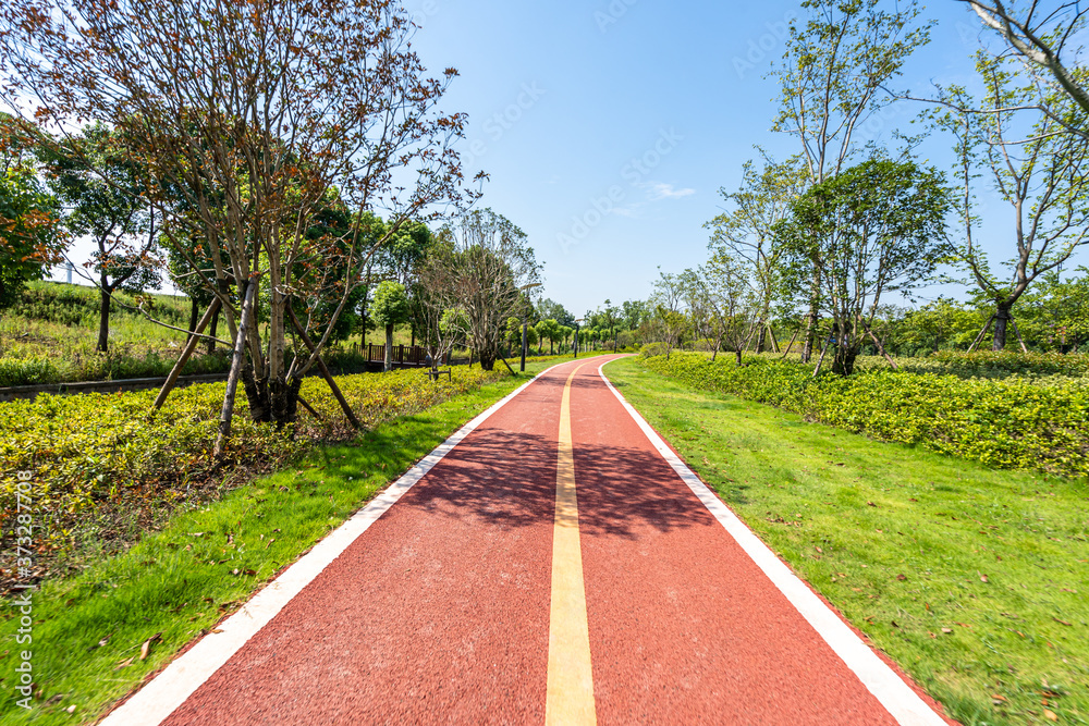 公园道路