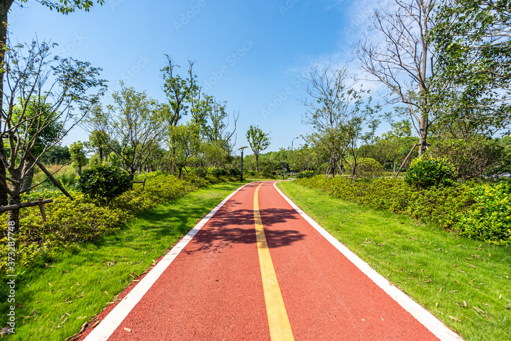 road in park