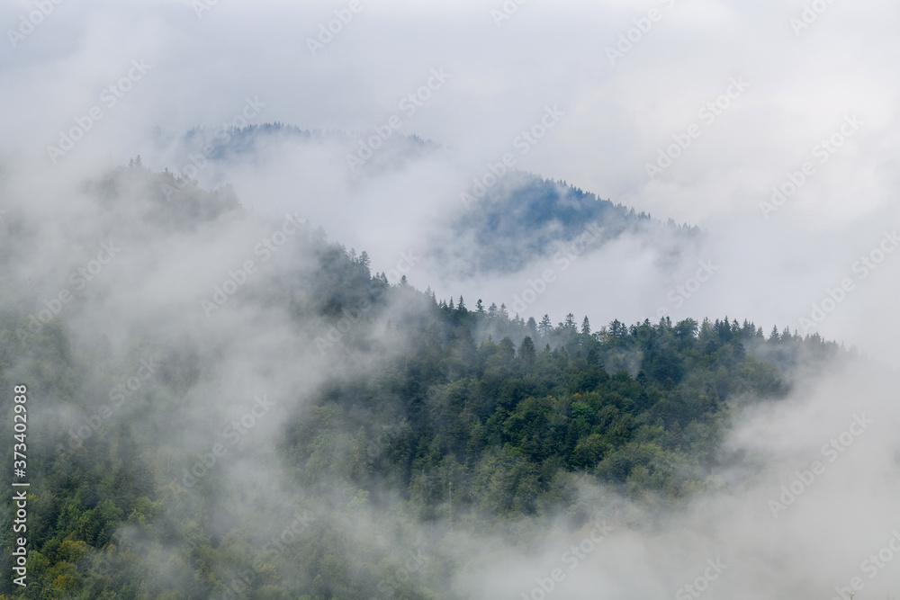 Majestic view on beautiful fog and cloud mountains in mist landscape.