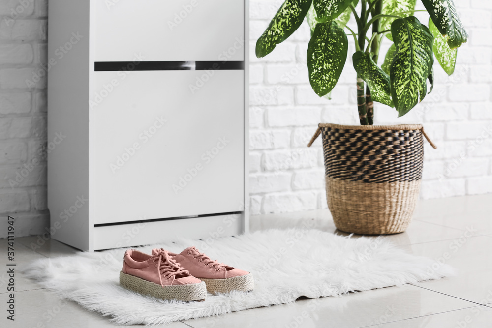 Shoes in stylish interior of modern hall