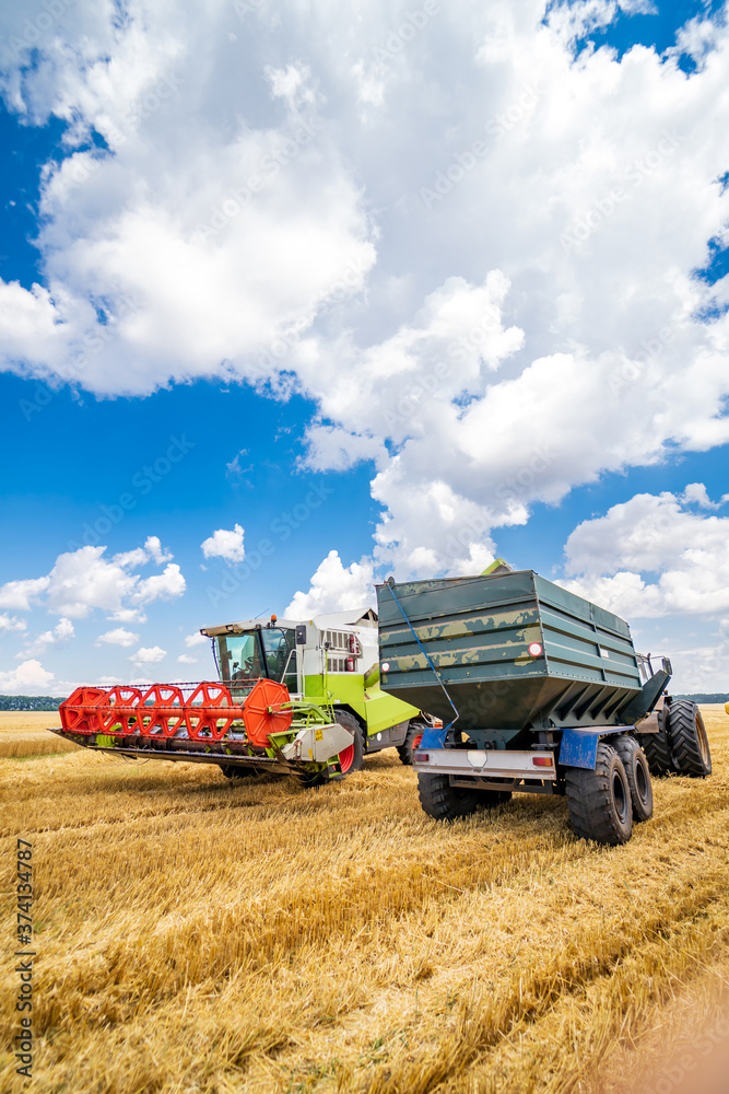 Two working gathering harvest machines. Harvest gathering in gold field. Dry wheat.