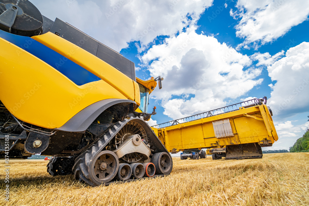 Process of gathering ripe crop from the fields. Side view on yellow combine. Harvest time.