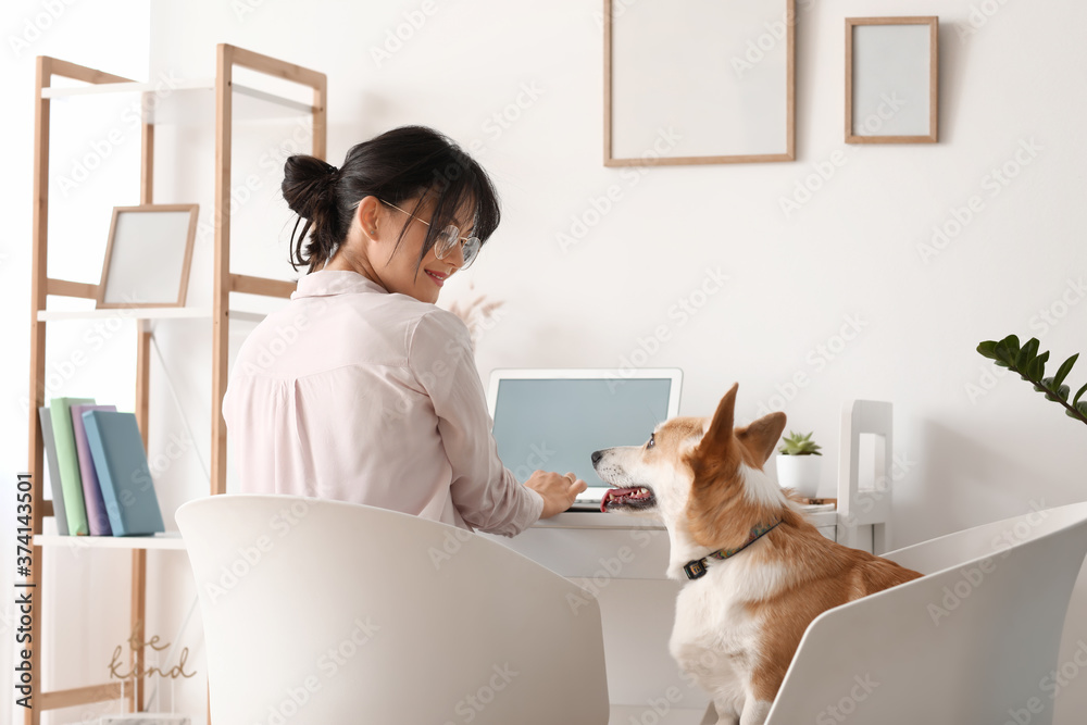 带着可爱柯基犬在家工作的女人