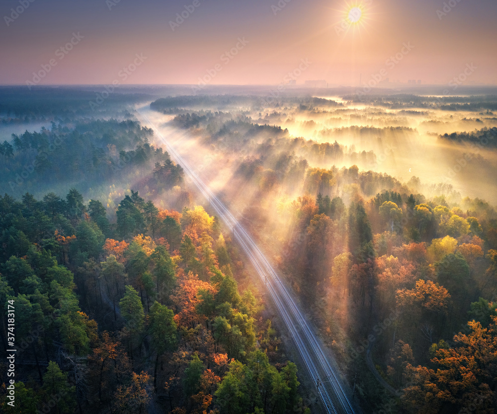 Aerial view of beautiful railroad in autumn forest in foggy sunrise. Industrial landscape with railw