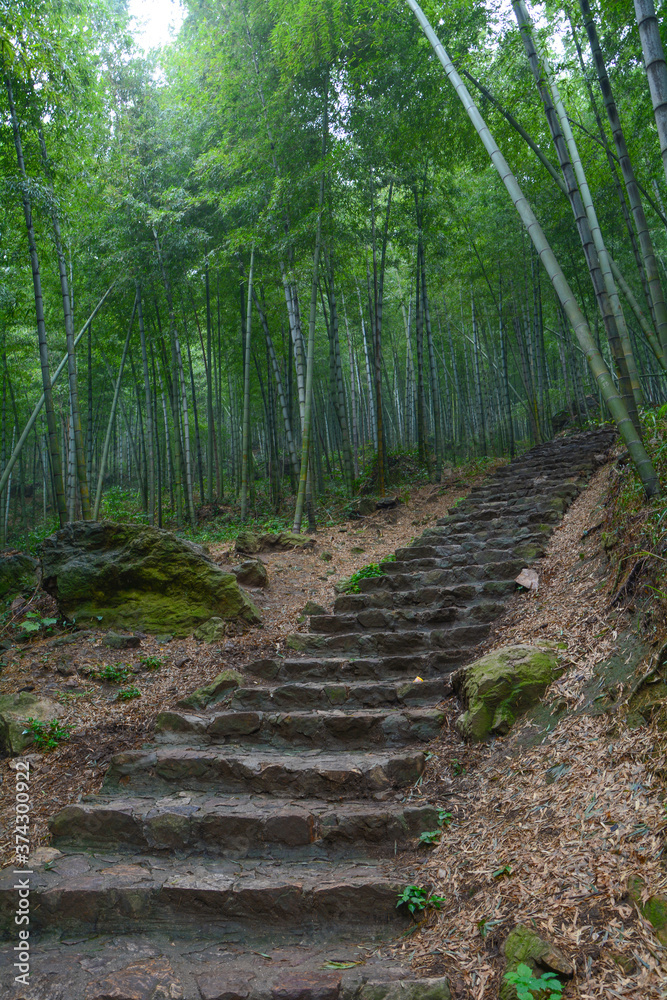 Summer scenery in Yixing Zhuhai Scenic Spot, Jiangsu Province, China