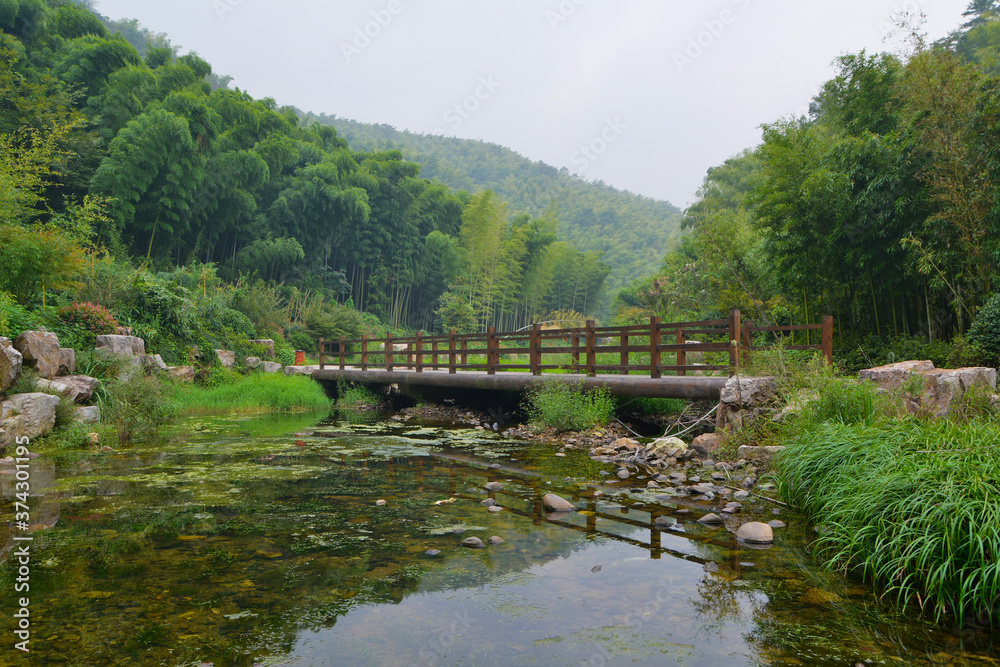 Summer scenery in Yixing Zhuhai Scenic Spot, Jiangsu Province, China