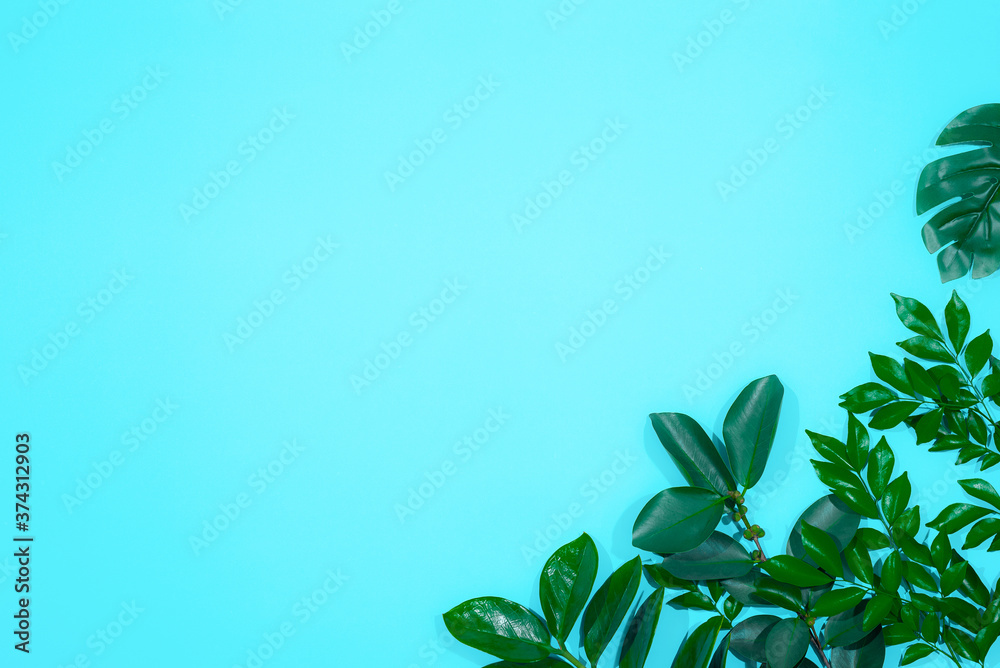 Tropical leaf frame on green background with copy space. Flat lay. Top view. Summer or spring nature