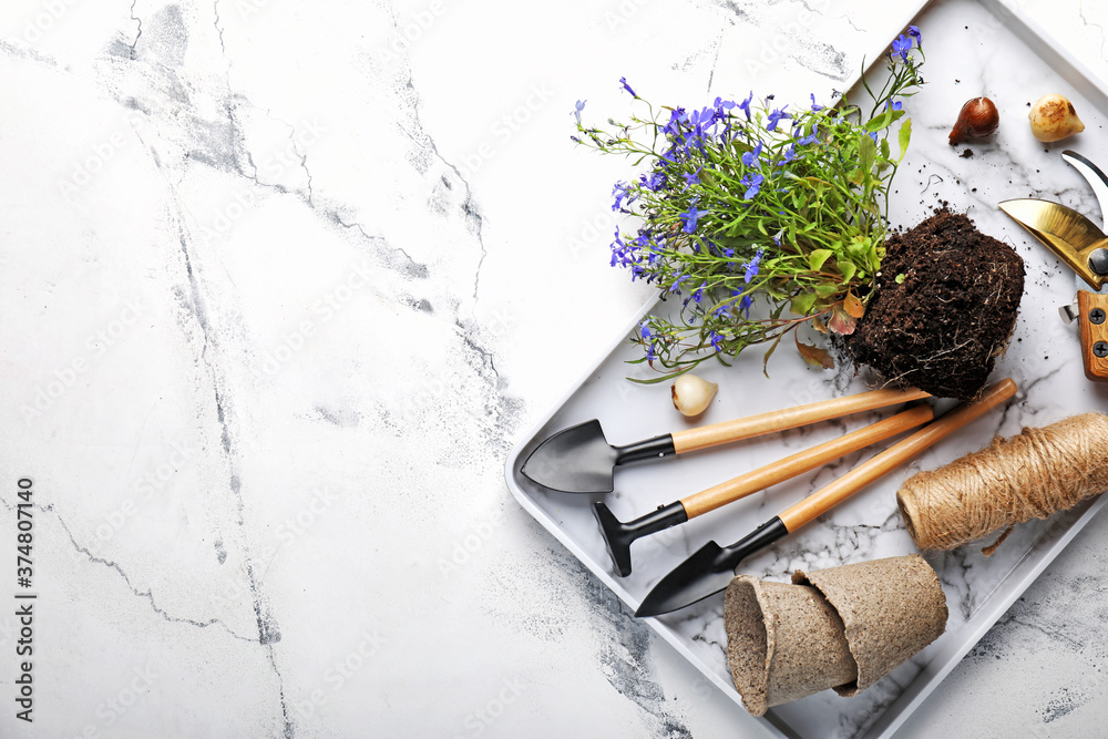 Gardening tools on white background