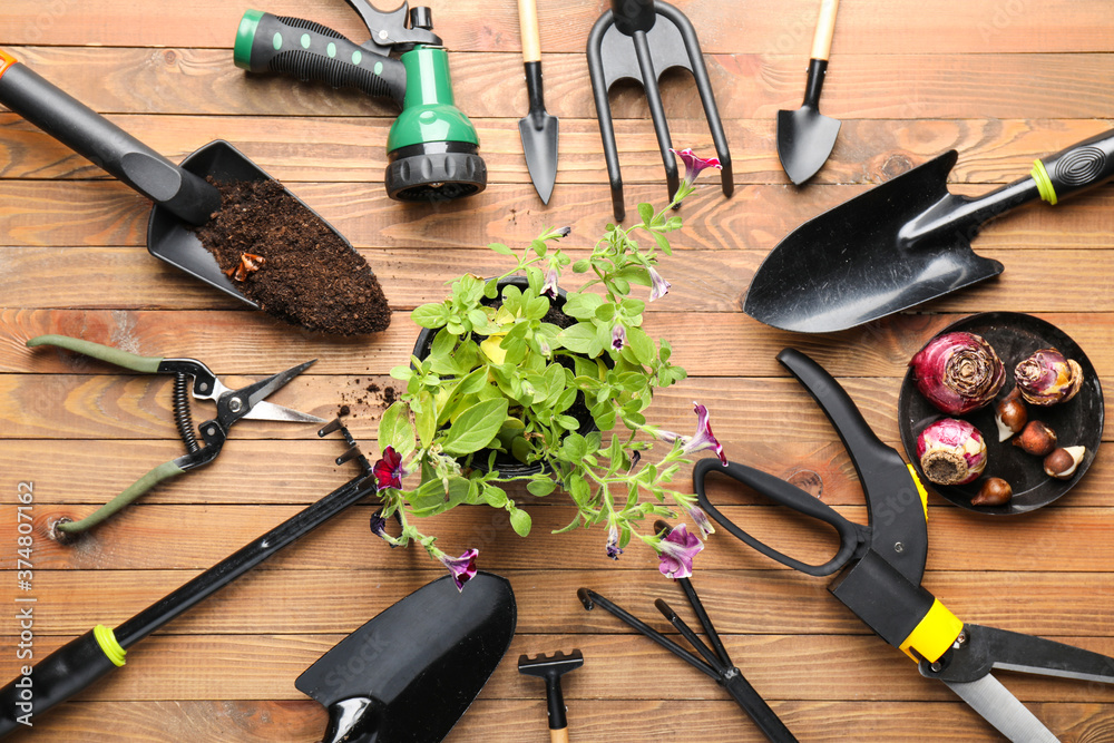 Gardening tools on wooden background