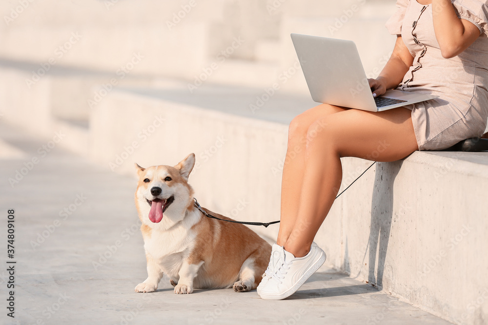 带着可爱的柯基犬在户外散步的女人