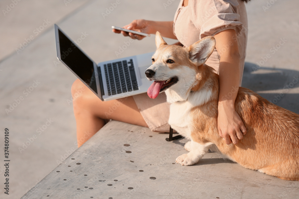 带着可爱的柯基犬在户外散步的女人