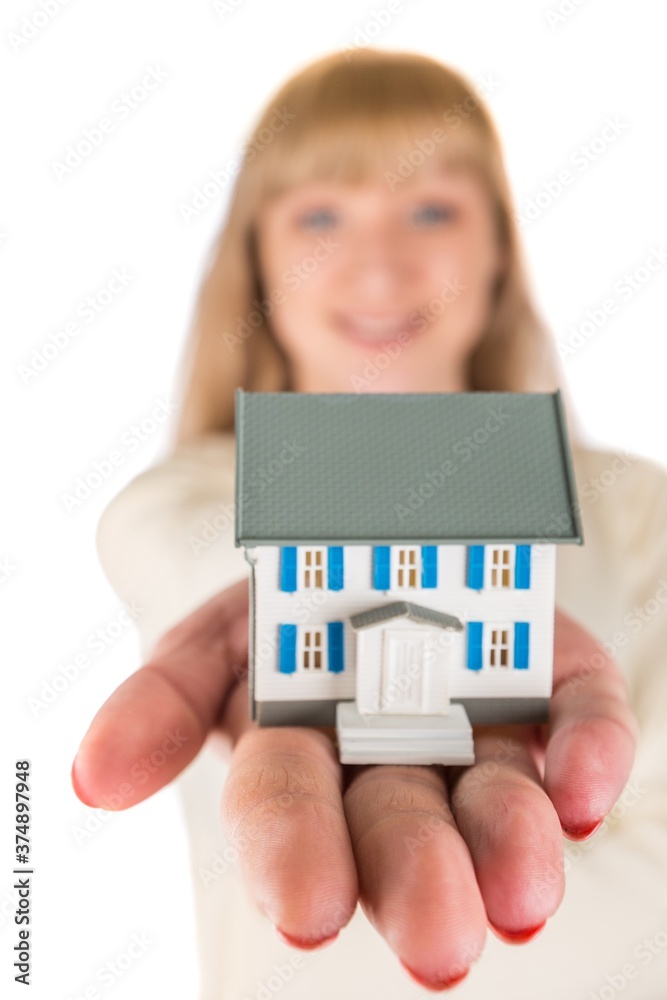 miniature house model