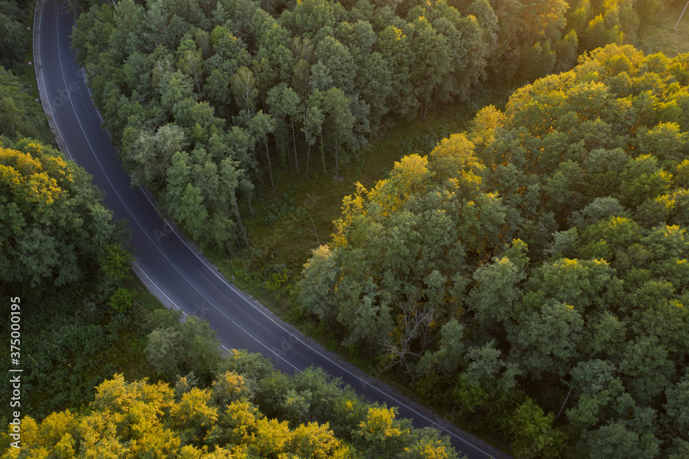 铺设道路的早晨森林鸟瞰图。