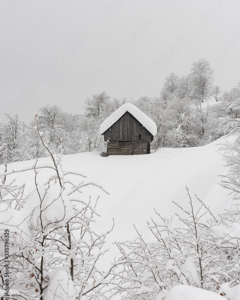 雪山木屋的极简主义冬季景观。多云的天气，景观照片