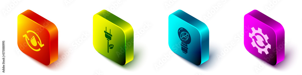 Set Isometric Recycle clean aquary，Electric save plug-in leaf，Light bulb with leaf and Gear and ar（设