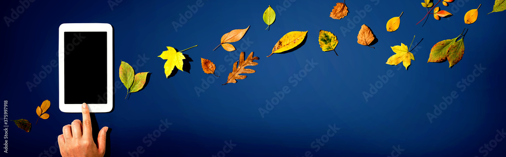 Autumn leaves with person using a tablet computer from above