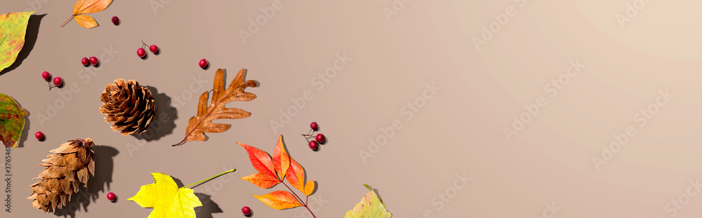 Colorful autumn leaves with pinecones overhead view - flat lay