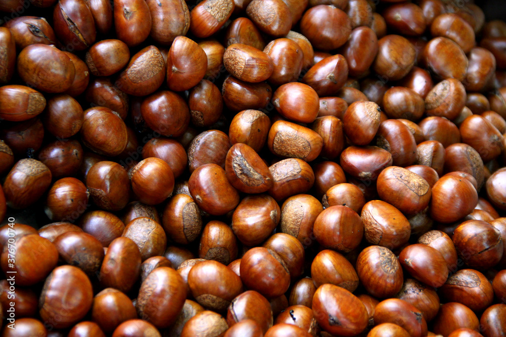 Close up of ripe chestnuts, Raw chestnuts in oven, Concept image of the process of roasted chestnuts