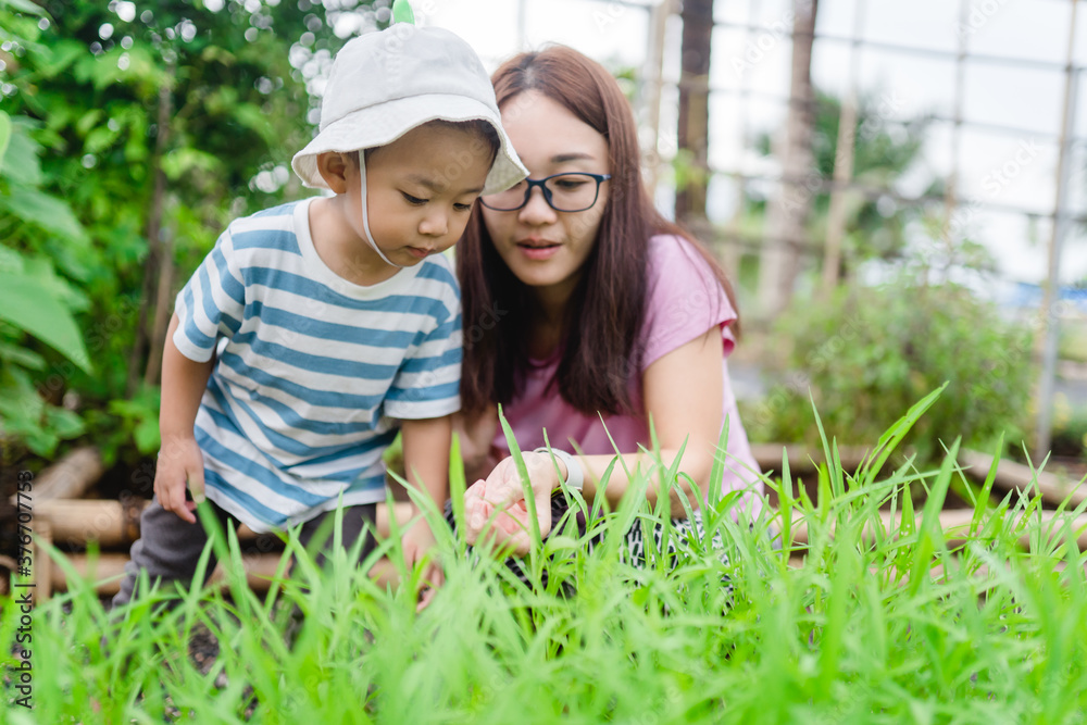 母亲和儿子蹒跚学步的男孩在夏天的有机蔬菜农场。母亲和孩子收获有机ve