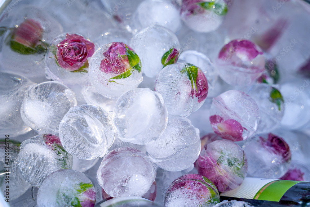 Flowers frozen in balls made of ice at holiday. Fashion table decoration. Delicate lilac flowers in 