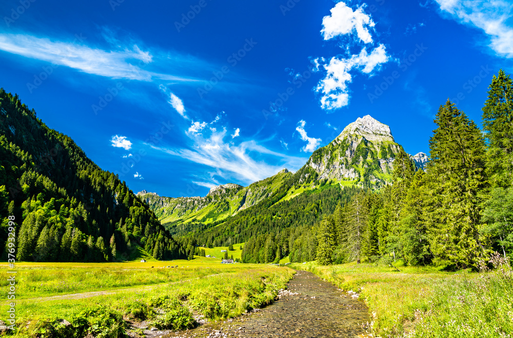 瑞士阿尔卑斯山Obersee山谷的Brunnelistock山和Sulzback溪景观