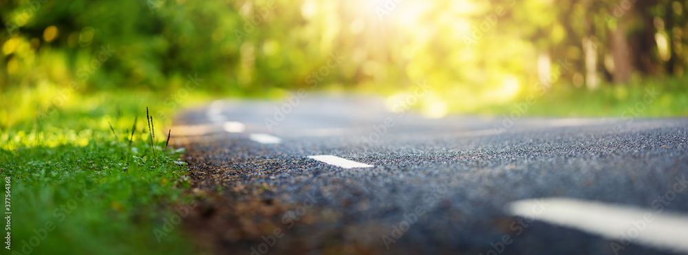 Asphalt road and dividing lines in the forest