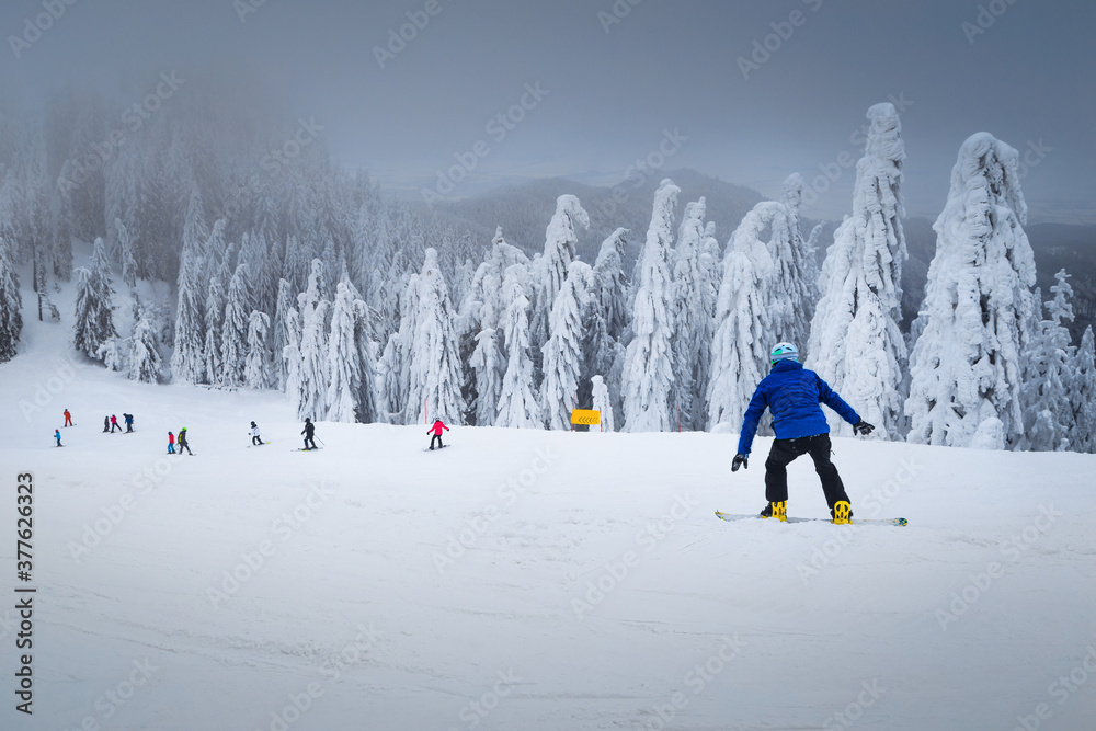 罗马尼亚特兰西瓦尼亚冬季滑雪场，有滑雪者和单板滑雪运动员