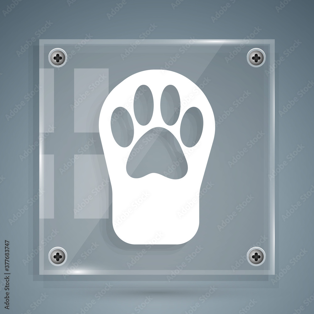 White Paw print icon isolated on grey background. Dog or cat paw print. Animal track. Square glass p