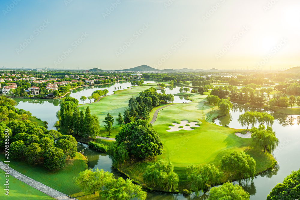 Aerial view of green grass and tree on golf course.