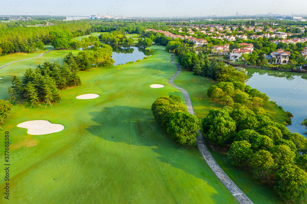 Aerial view of green grass and tree on golf course.