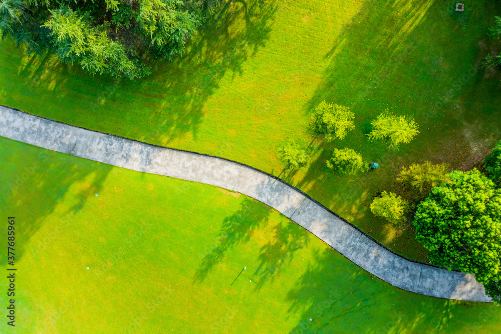 Aerial view of green grass and tree with road.