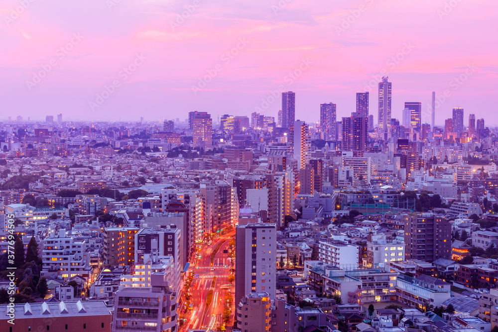 光が綺麗な東京の夕景