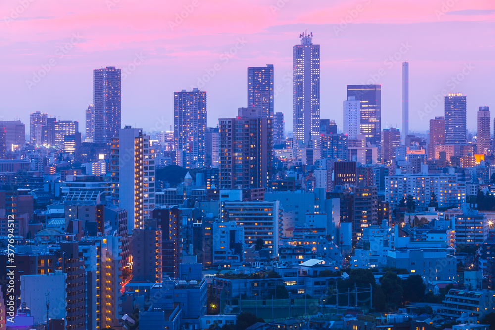 光が綺麗な東京の夕景