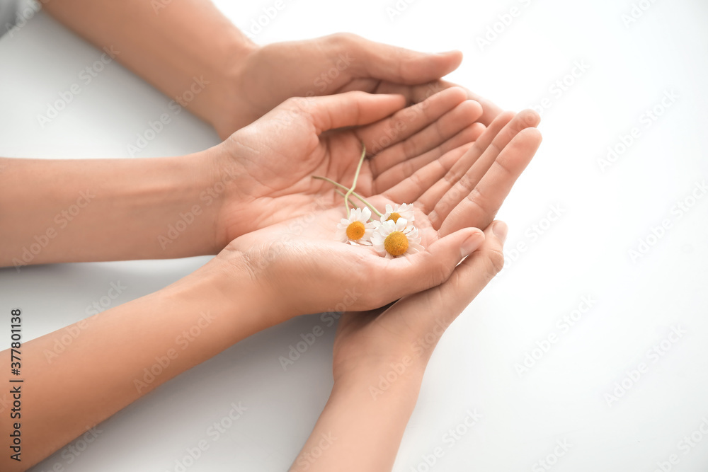 Hands of family with flowers on white background