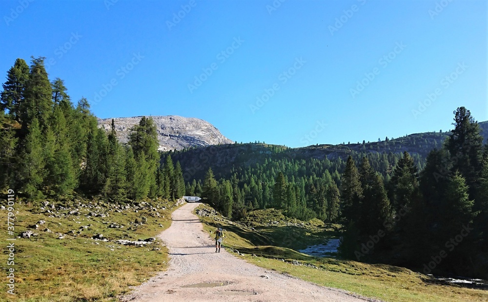 意大利白云岩。山区的山路