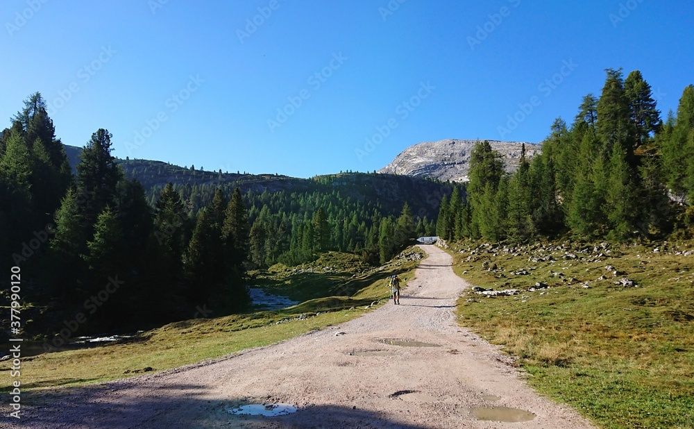 徒步旅行的白云石。山里的路