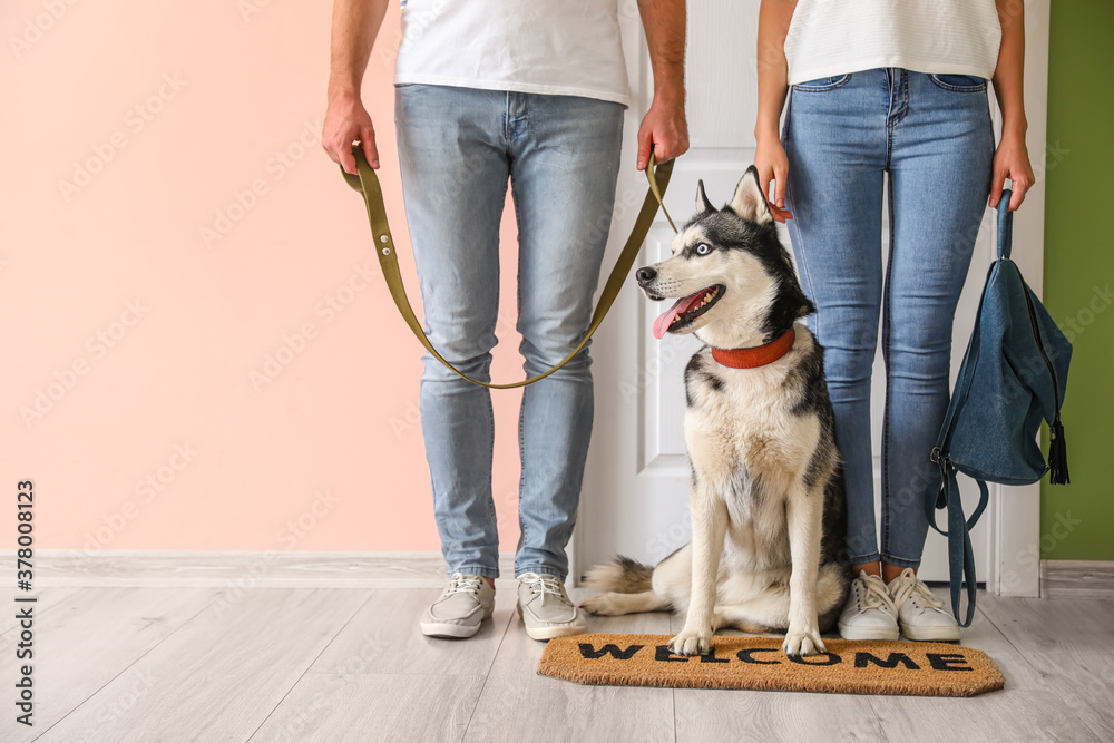 Young couple with cute Husky dog in hallway