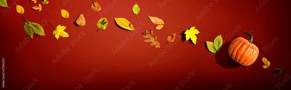 Autumn pumpkin with colorful leaves overhead view - flat lay