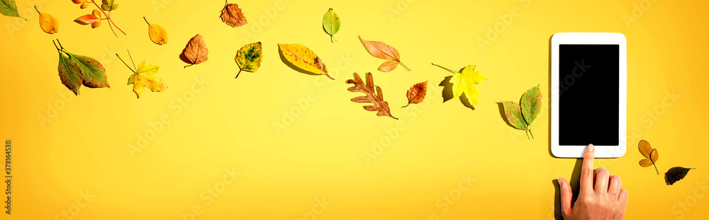 Autumn leaves with person using a tablet computer from above