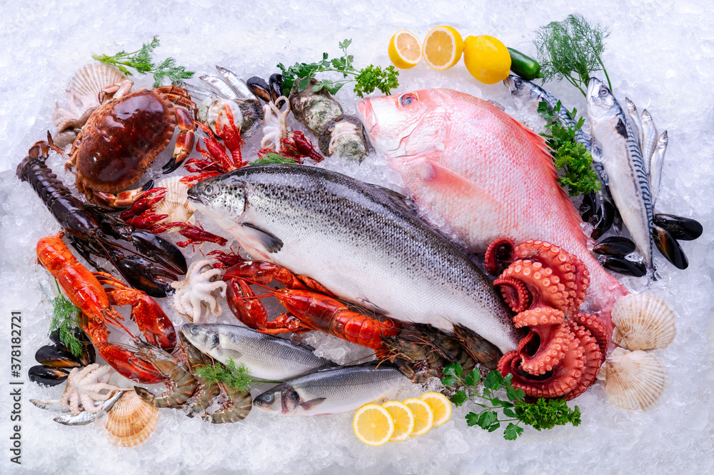 Fresh fish and seafood on ice pile