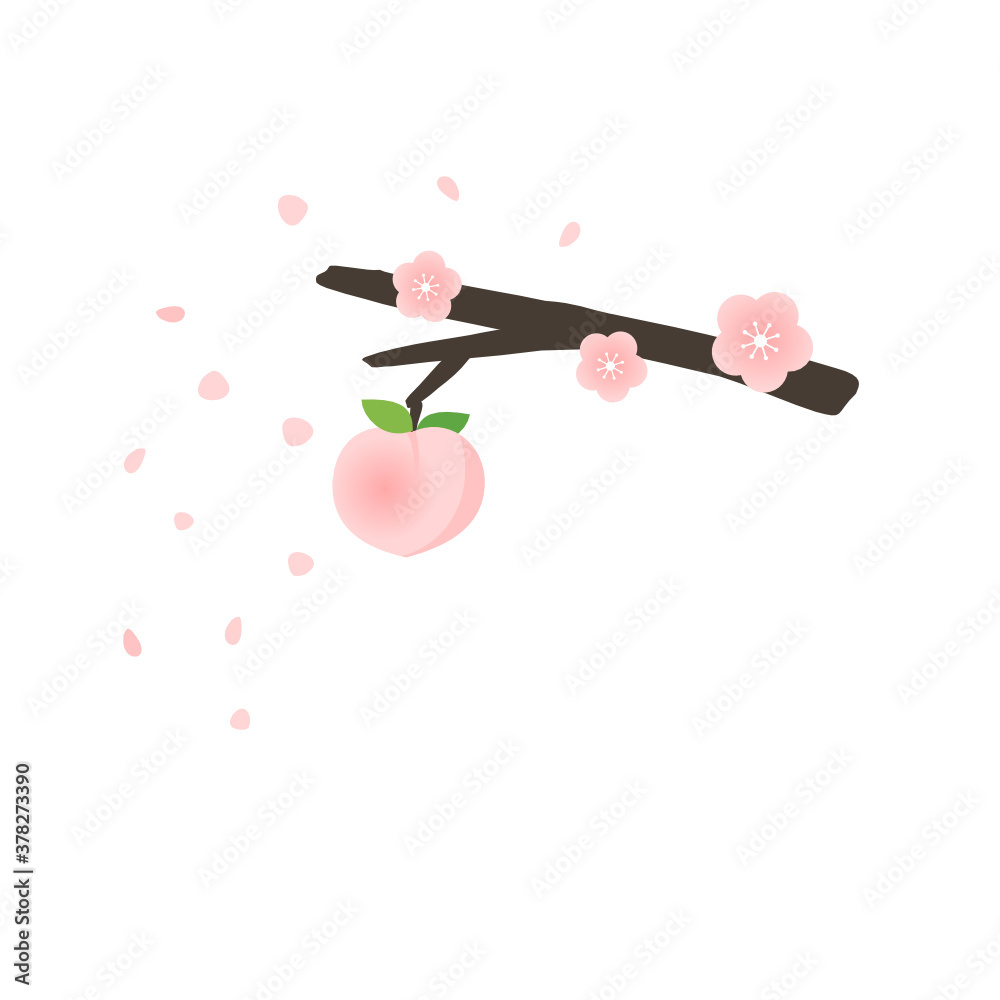 Peach tree branch with flower and falling petals on white background vector illustration. Cute carto