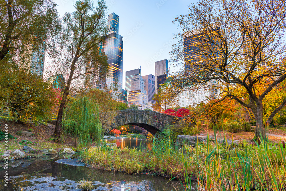 Central Park during autumn in New York City