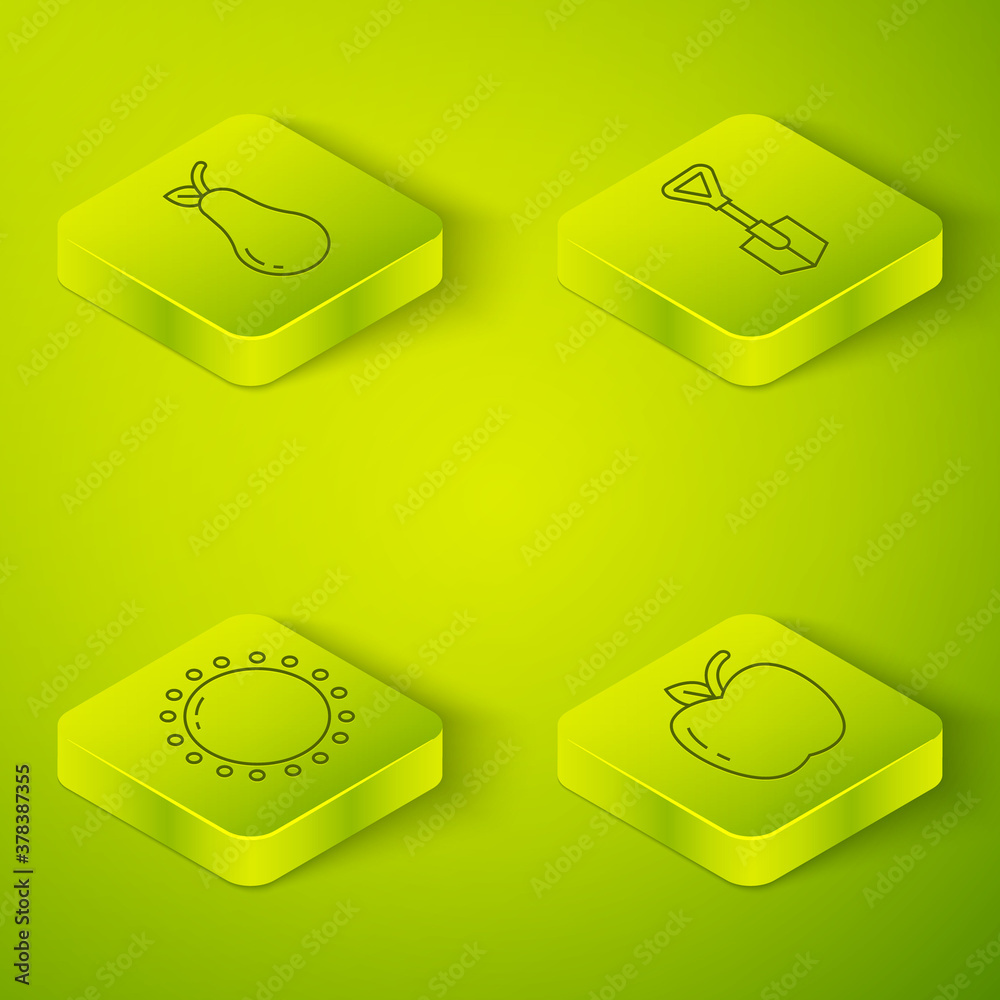 Set Isometric Shovel, Sun, Apple and Pear icon. Vector.